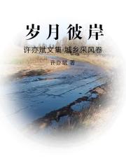 許亦斌文集城鄉采風卷歲月彼岸