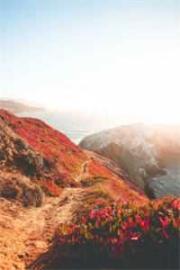 舉國對抗異界入侵_開局上交一顆星球