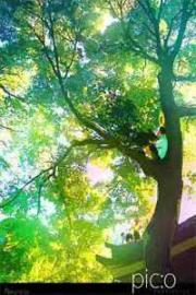 十年相戀_相看兩厭