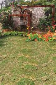 重生校園：晏少獨寵神算妻