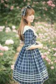 明朝之嘉靖上朝了