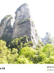 荷葉閒客中短篇小說選集四