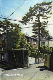 貧道活膩了