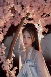 少爺折腰gb