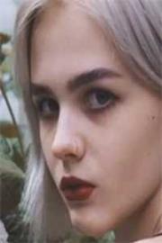 奪廻屬於大夏的土地