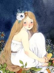 灰姑孃的滿天星