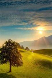 前任婚禮羞辱我，新娘當場悔婚