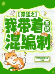 穿越之我帶著係統混編製