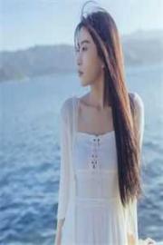 天才龍寶尋親記