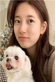 偏愛（周雁回沈南枝）