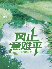 風止意難平意思