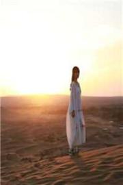 寧宸雨蝶逍遙四公