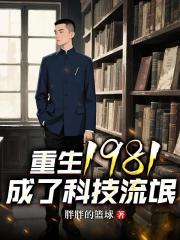 重生1981：成了科技流氓