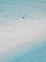 我被東廠總督主攻略了