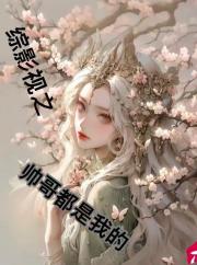 綜影視之帥哥都是我的