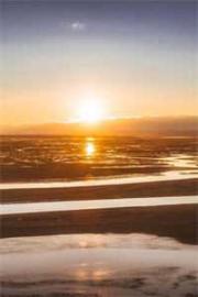 中獎裸辭後全網求我直播田園養老