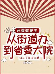 惡婆婆重生：從街道辦到省委大院