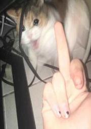 討厭又怎麼樣，還不是要乖乖挨操（百合H）