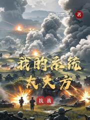 抗戰：我的係統太大方