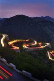 天生炮灰命？她偏嫁給王爺冠絕京城