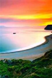 小可憐被趕出家後，懷崽崽嫁豪門