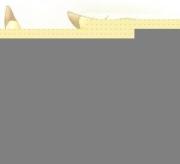 哥哥，請享用（雙性）