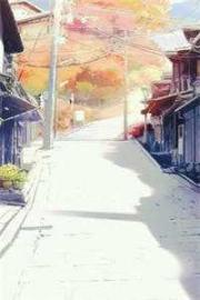 昨夜星辰昨夜雨