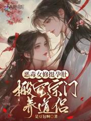 惡毒女修挺孕肚，搬空宗門養道侶