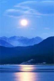 讓你當臥底，你帶老大來自首？