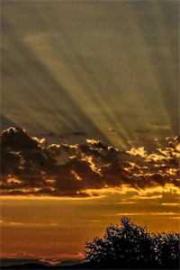 走離婚大女主人設的小姨