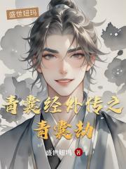 青囊經外傳之青囊劫