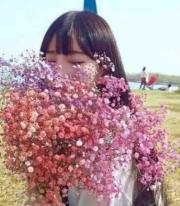 愛已遲暮,風吹即散