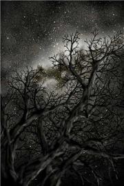 都守寡三年了，我甩你怎麼了？