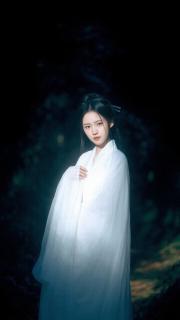 嬌軟人魚但本體是小海豹