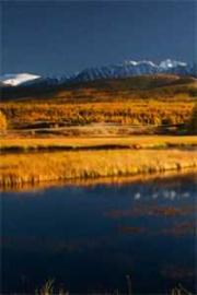 我廢柴真千金_會億點玄學怎麼了