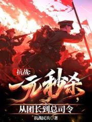 抗戰:一元秒殺,從團長到總司令