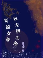穿越之女尊我左擁右抱
