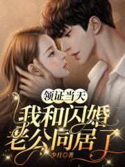 領證當天_我和閃婚老公同居了